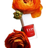 Kure Bazaar Nail Lacquer - Java pictured with flowers (not included)