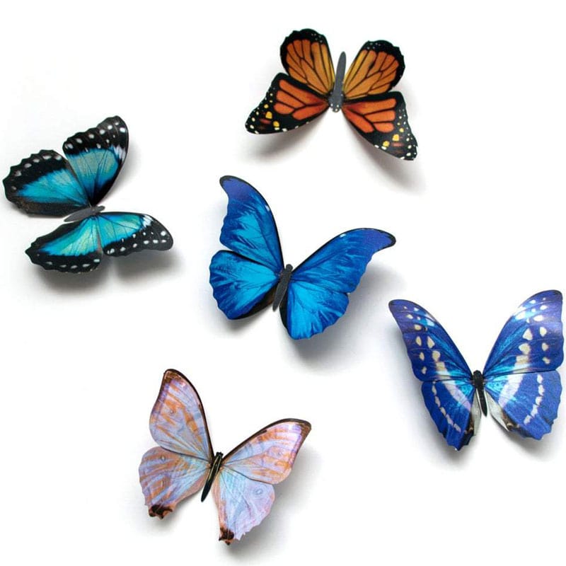 Moth &amp; Myth Morphos and Monarch Butterfly Set (5 pcs)