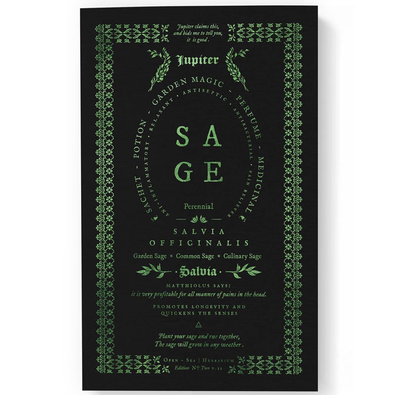 Open Sea Sage Notebook 48 pages
