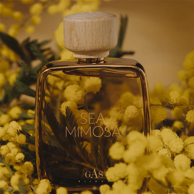 Gas Bijoux Sea Mimosa Eau de Parfum beauty shot showing bottle among Mimosa flowers