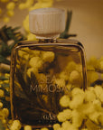 Gas Bijoux Sea Mimosa Eau de Parfum beauty shot showing bottle among Mimosa flowers