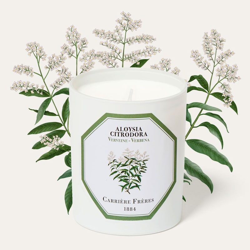 Carriere Freres Verbena Candle (185 g) with verbena illustration behind candle