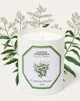 Carriere Freres Verbena Candle (185 g) with verbena illustration behind candle