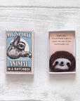 Marvling Bros Ltd My Spirit Animal Wool Felt Sloth In a Matchbox - showing top beside open box