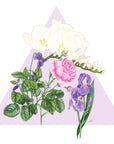 Santa Maria Novella Fresia Cologne artwork triangle and flowers