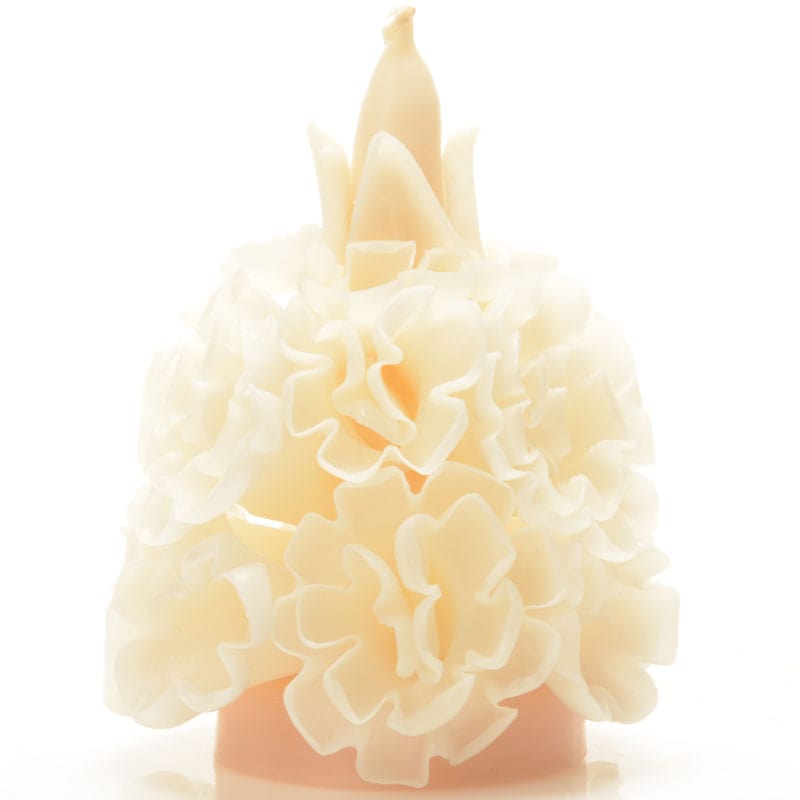 Cielito Lindo Studio Flowered Candle – Cream
