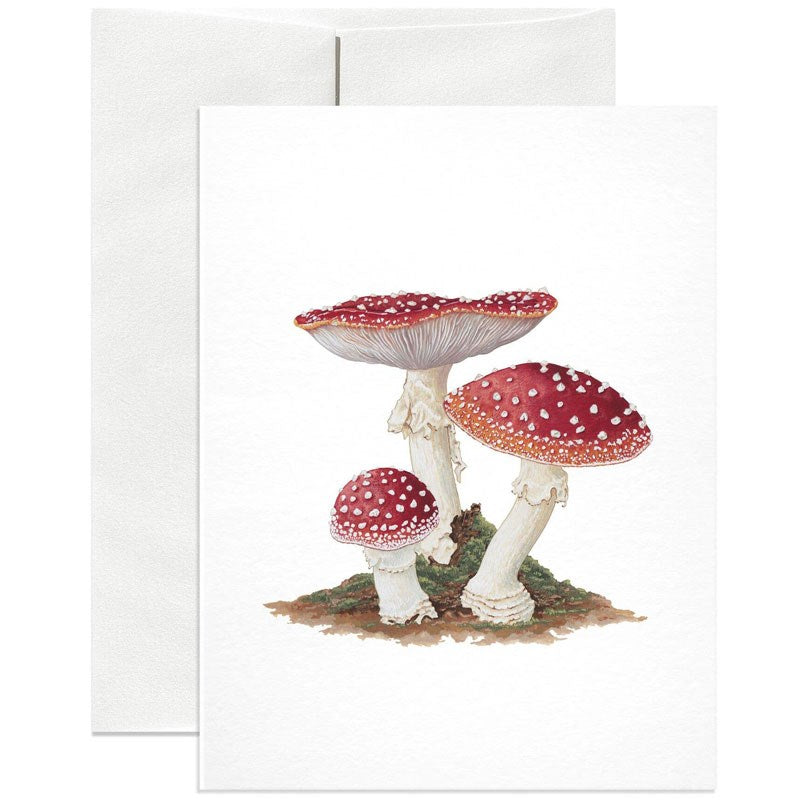 Amanita Muscaria (Mushrooms) Greeting Card - Beautyhabit