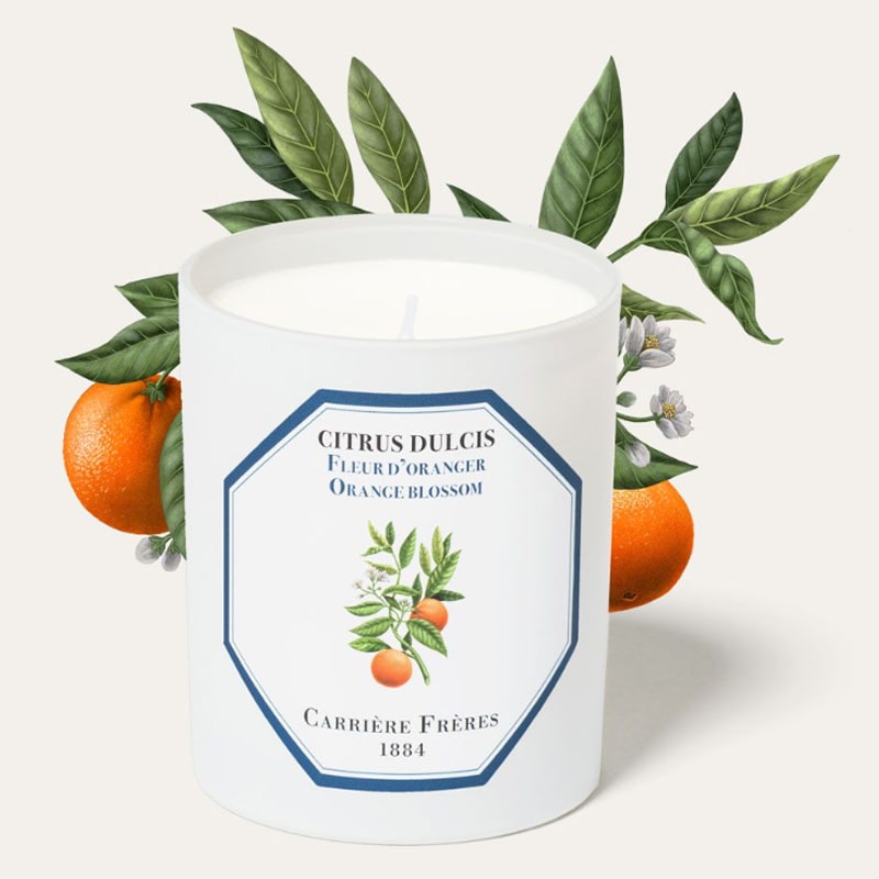 Carriere Freres Orange Blossom Candle (185 g) with oranges and orange blossom illustration behind candle