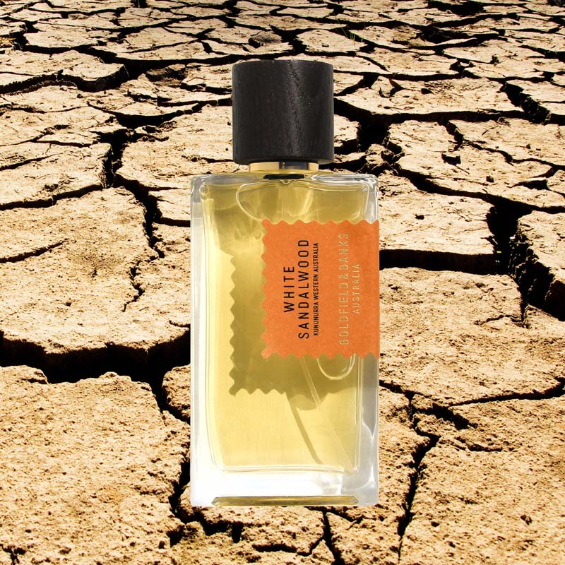 Mood shot of Goldfield &amp; Banks White Sandalwood Perfume 100 ml with extremely dry and cracked landscape in the background