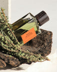 Goldfield & Banks Wood Infusion Perfume showing with a piece of wood and plant