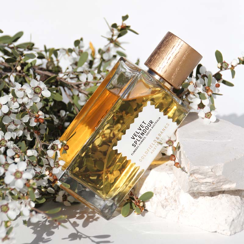 Lifestyle shot of Goldfield &amp; Banks Velvet Splendour Perfume 100 ml on stone slab with white flowers in the background
