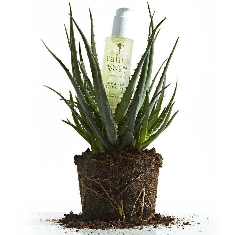 aloe vera plant good for hair Rahua Aloe Vera Hair Gel – Beautyhabit