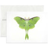 Luna Moth Greeting Card