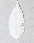Morihata HA KO Paper Incense – No. 01 Spicy Jasmine showing leaf
