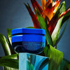 R+Co Bleu Elastic Styling Pomade showing in front of a plant