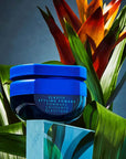 R+Co Bleu Elastic Styling Pomade showing in front of a plant