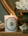 Carriere Freres Tiare Candle showing on a shelf next to home decor