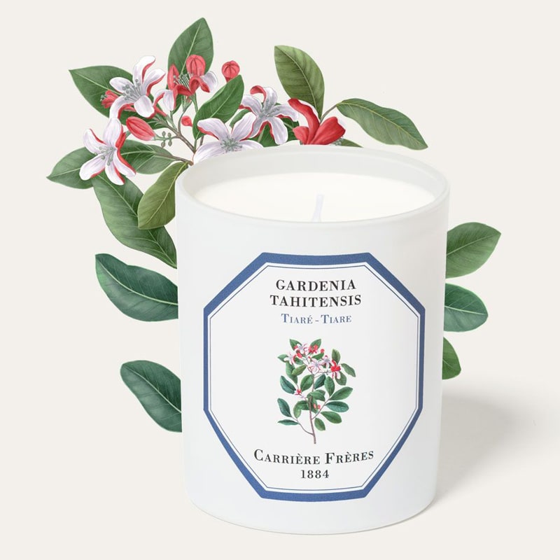 Carriere Freres Tiare Candle (185 g) with tiare illustration behind candle