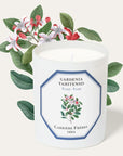 Carriere Freres Tiare Candle (185 g) with tiare illustration behind candle