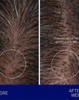 Augustinus Bader The Leave In Hair Treatment showing before and after
