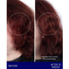 Augustinus Bader The Shampoo showing before and after 12 weeks of use 