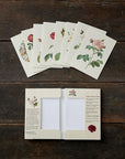 Koustrup & Co. Old Roses Cardfolder showing all 8 cards outside of folder