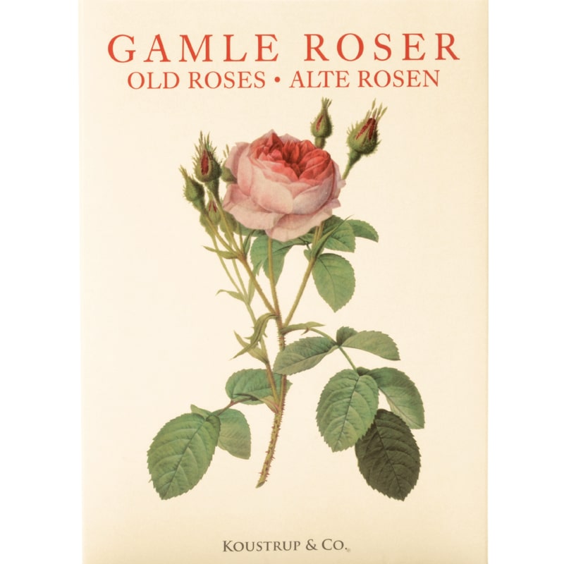 Koustrup &amp; Co. Old Roses Cardfolder (8 cards)