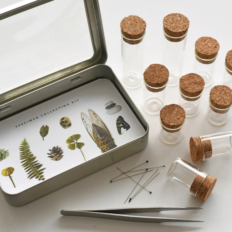 Specimen Collecting Kit - Opened box showing products