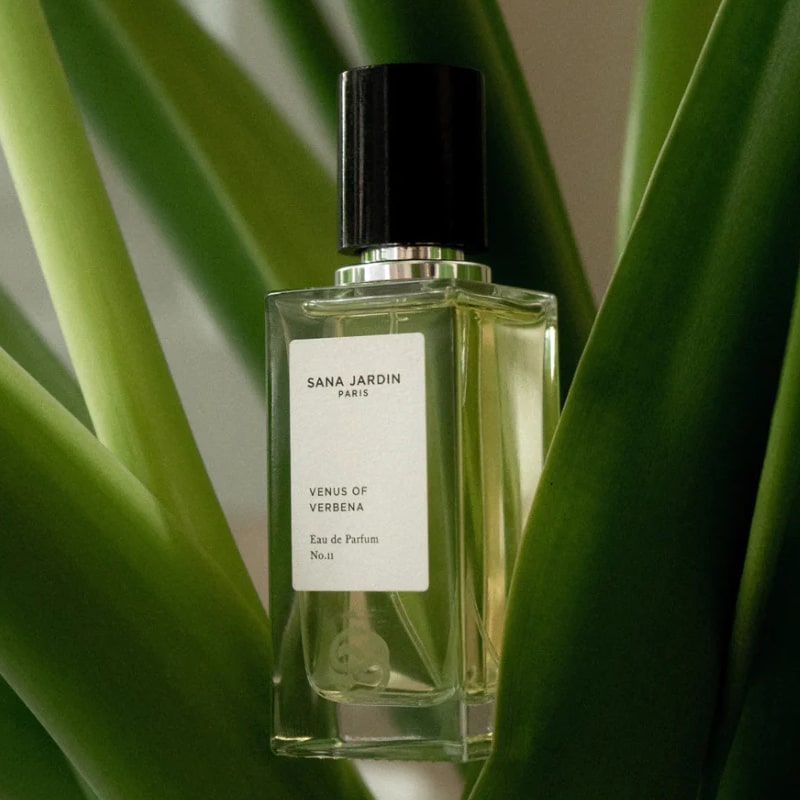 Venus of  Verbena Eau De Parfum - Lifestyle shot showing product on plant