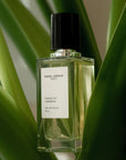 Venus of  Verbena Eau De Parfum - Lifestyle shot showing product on plant