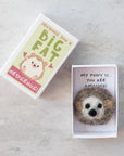 Marvling Bros Ltd Sending You A Hedgehug In A Matchbox showing open box with Hedgehog inside