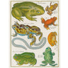 John Derian Paper Goods Wrapping Paper & Gift Tags - Product design shown frogs