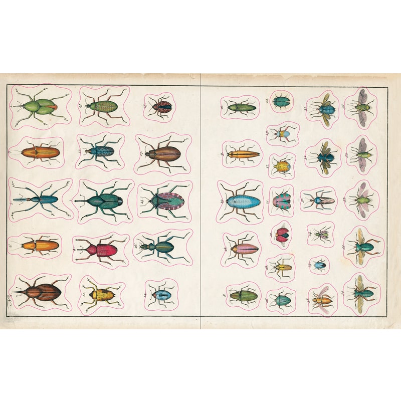 John Derian Paper Goods - John Derian Sticker Book - Insect stickers