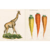 John Derian Paper Goods - John Derian Sticker Book - Giraffe and carrot stickers