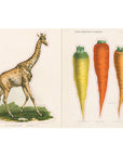 John Derian Paper Goods - John Derian Sticker Book - Giraffe and carrot stickers