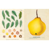 John Derian Paper Goods - John Derian Sticker Book - Lemon, flower and leaf stickers 