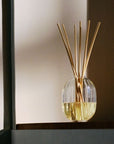 Diptyque 34 Boulevard Saint Germain Reed Diffuser mood shot of diffuser on a shelf with dramatic lighting