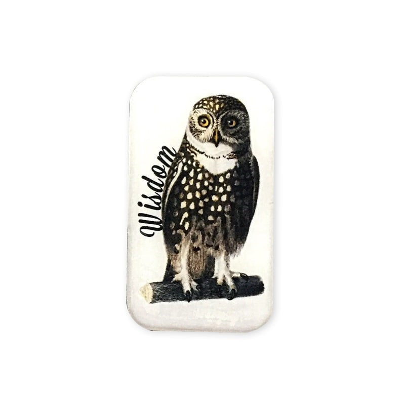 Firefly Notes Wise Owl Tin – Small