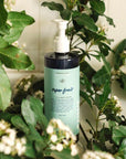 Kerzon Liquid Body Soap – Super Frais lifestyle shot of bottle among floral branches