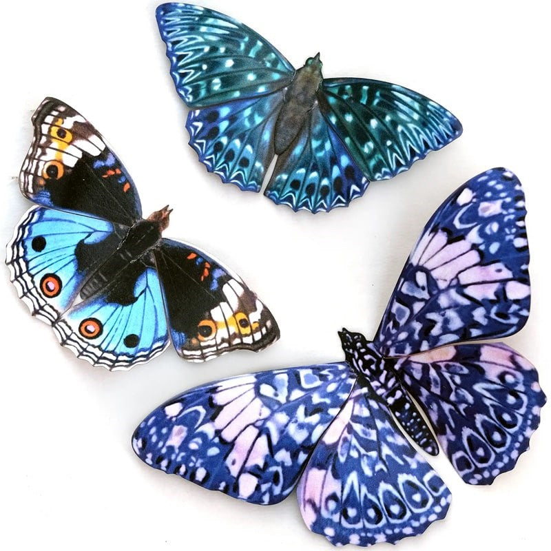 Moth & Myth Celestial Butterfly Set (3 pcs)