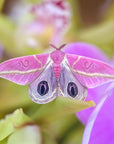Moth & Myth Limelight Moth Set - Beauty shot, product shown on flower