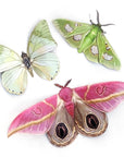 Moth & Myth Limelight Moth Set (3 pcs)