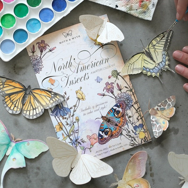 Moth & Myth North American Insect Watercolor Kit - Product displayed with insects and watercolors