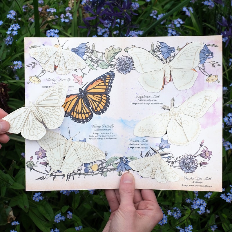 Moth &amp; Myth North American Insect Watercolor Kit - Model shown holding product on top of flowers