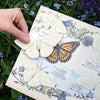 Moth & Myth North American Insect Watercolor Kit - Product displayed on top of flowers