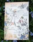 Moth & Myth North American Insect Coloring Kit - Product displayed on top of flowers