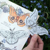 Moth & Myth North American Insect Coloring Kit - Model holding product on flower background