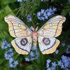 Moth & Myth North American Insect Coloring Kit - Product shown on flower
