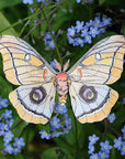 Moth & Myth North American Insect Coloring Kit - Product shown on flower