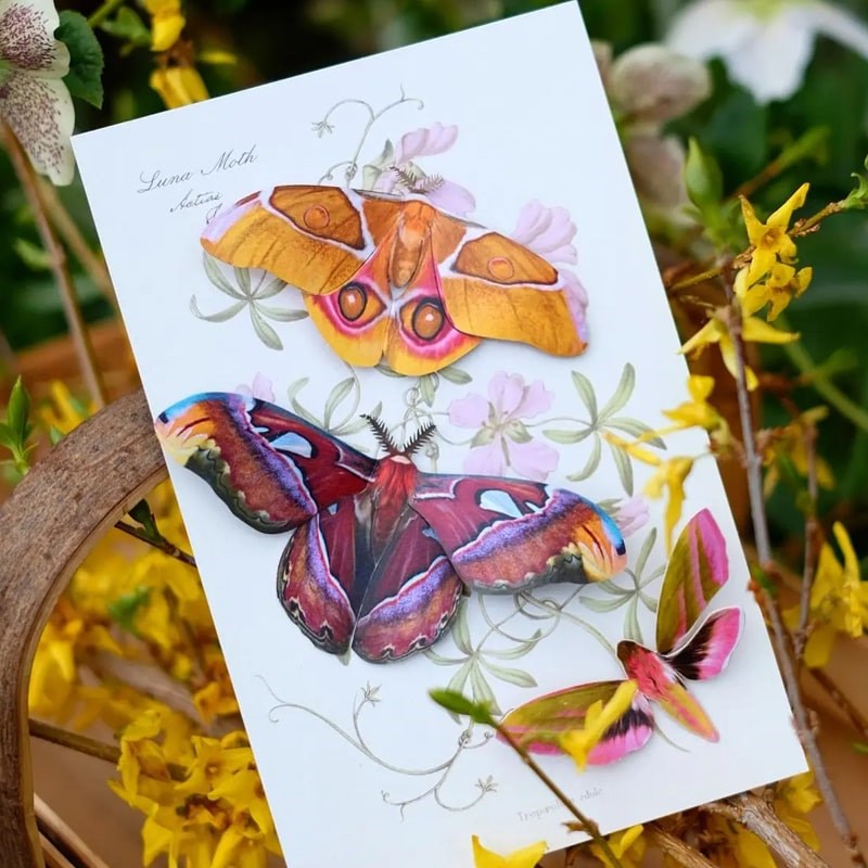 Moth &amp; Myth Amber Atlas Moth Set - Product displayed on top of flowers